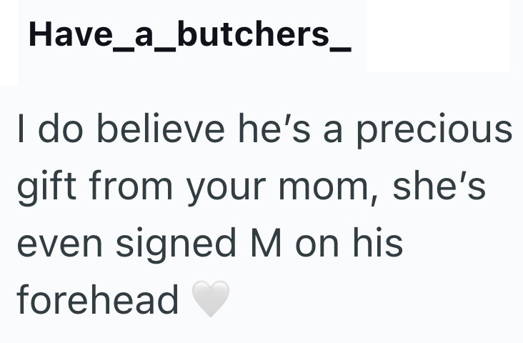 Have_a_butchers_ I do believe he's a precious gift from your mom, she's even signed M on his forehead