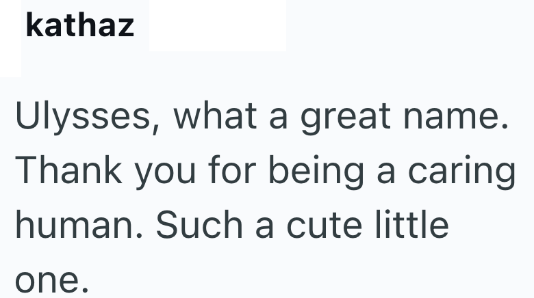 kathaz Ulysses, what a great name. Thank you for being a caring human. Such a cute little one.