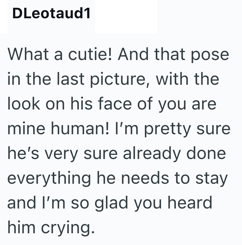 DLeotaud1 What a cutie! And that pose in the last picture, with the look on his face of you are mine human! I'm pretty sure he's very sure already done everything he needs to stay and I'm so glad you heard him crying.