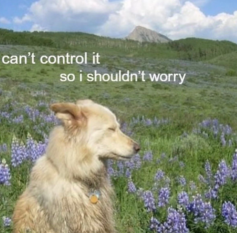 can't control it so i shouldn't worry