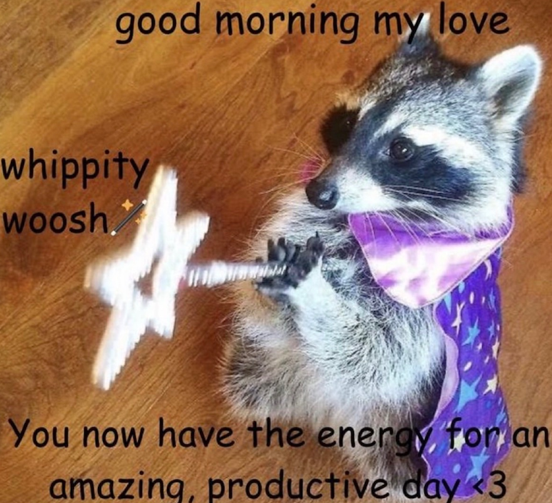 good morning my love whippity woosh. You now have the energy for an amazing, productive day 3