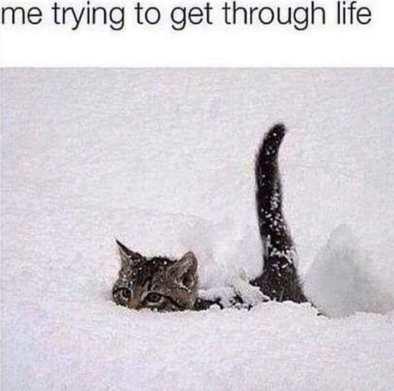 me trying to get through life