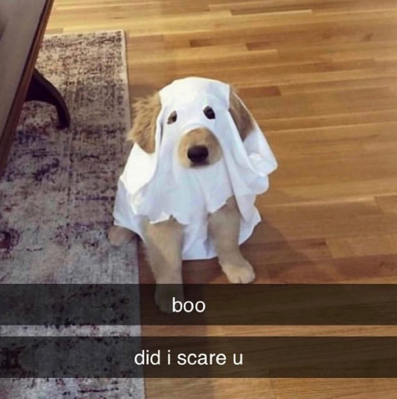 boo did i scare u