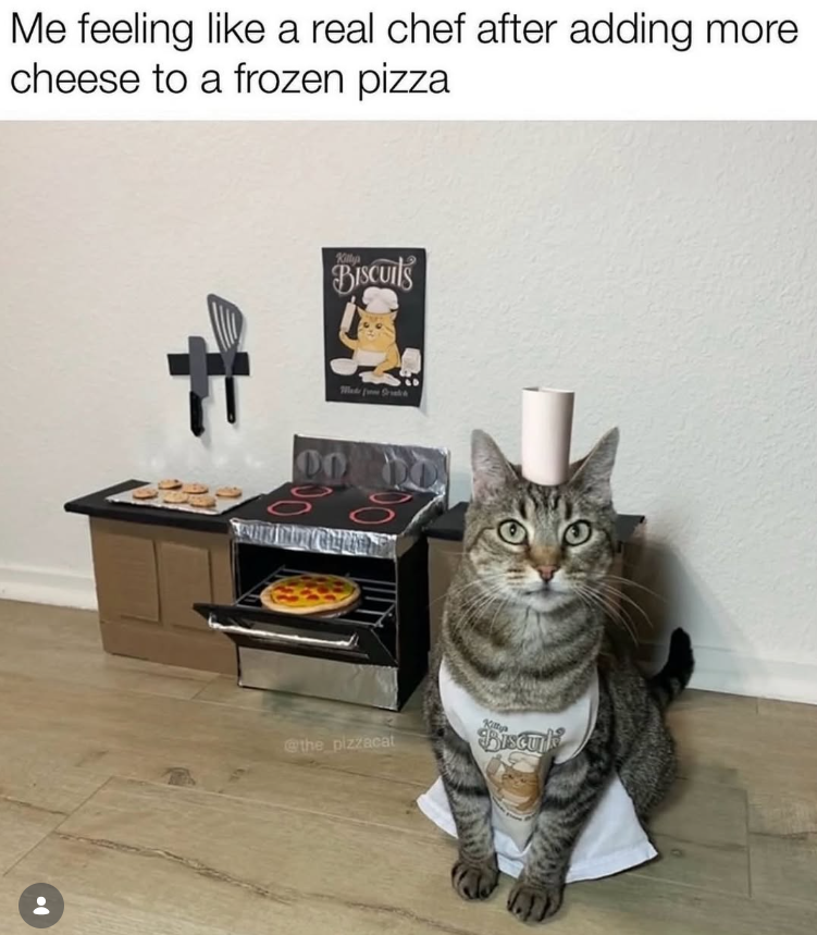 Me feeling like a real chef after adding more cheese to a frozen pizza Killy BISCUITS Made from Strat& 00 @the_pizzacat Kitty Biscui