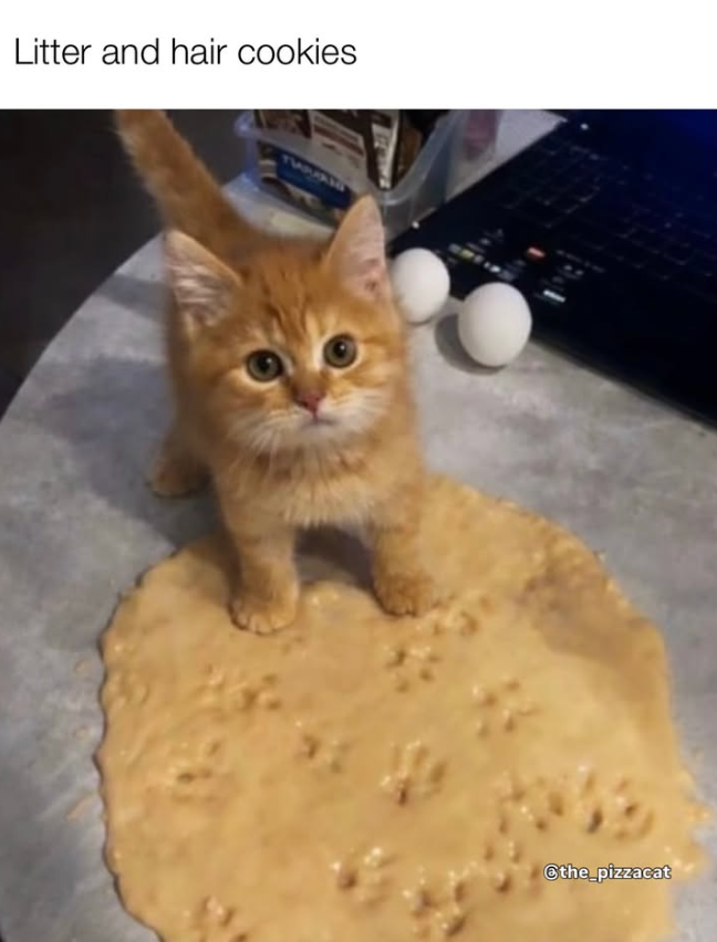 Litter and hair cookies @the_pizzacat