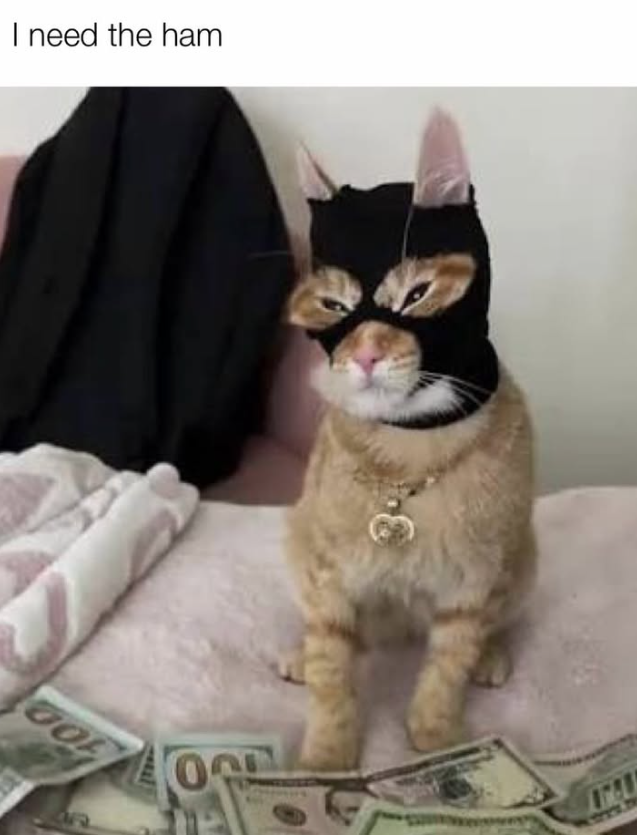 I need the ham OOF www.b