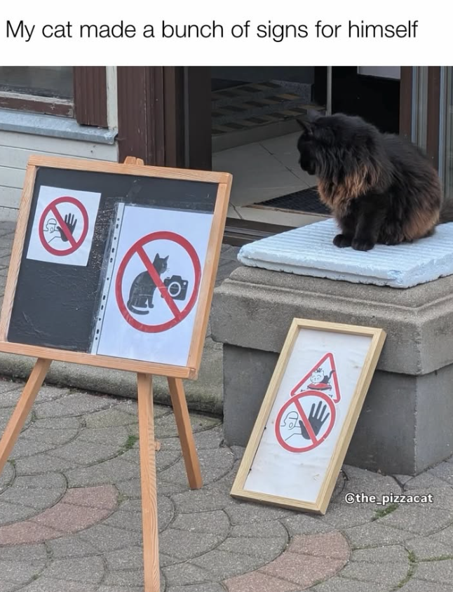 My cat made a bunch of signs for himself D the_pizzacat