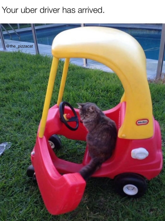 Your uber driver has arrived. @the_pizzacat A