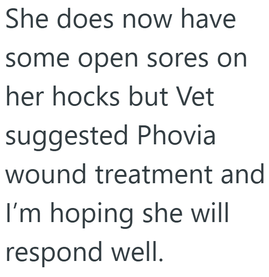 She does now have some open sores on her hocks but Vet suggested Phovia wound treatment and I'm hoping she will respond well.