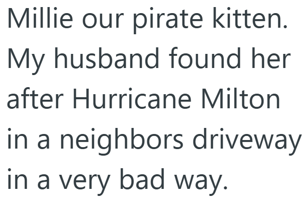 Millie our pirate kitten. My husband found her after Hurricane Milton in a neighbors driveway in a very bad way.