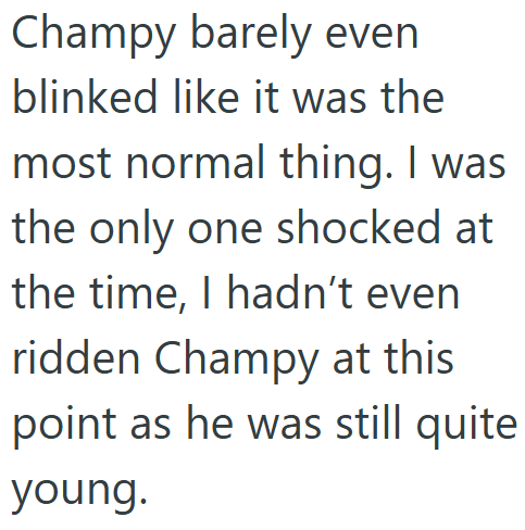 Champy barely even blinked like it was the most normal thing. I was the only one shocked at the time, I hadn't even ridden Champy at this point as he was still quite young.