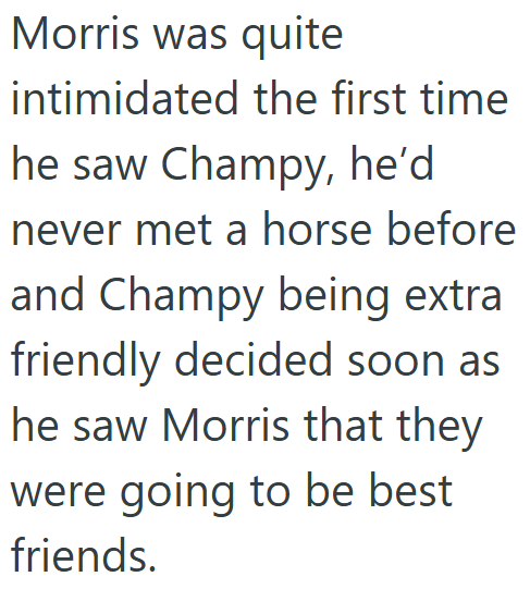 Morris was quite intimidated the first time he saw Champy, he'd never met a horse before and Champy being extra friendly decided soon as he saw Morris that they were going to be best friends.