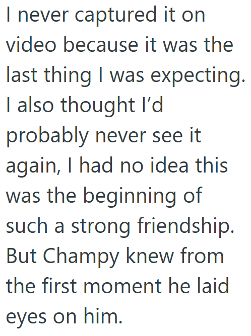 I never captured it on video because it was the last thing I was expecting. I also thought I'd probably never see it again, I had no idea this was the beginning of such a strong friendship. But Champy knew from the first moment he laid eyes on him.