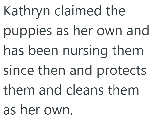 Kathryn claimed the puppies as her own and has been nursing them since then and protects them and cleans them as her own.
