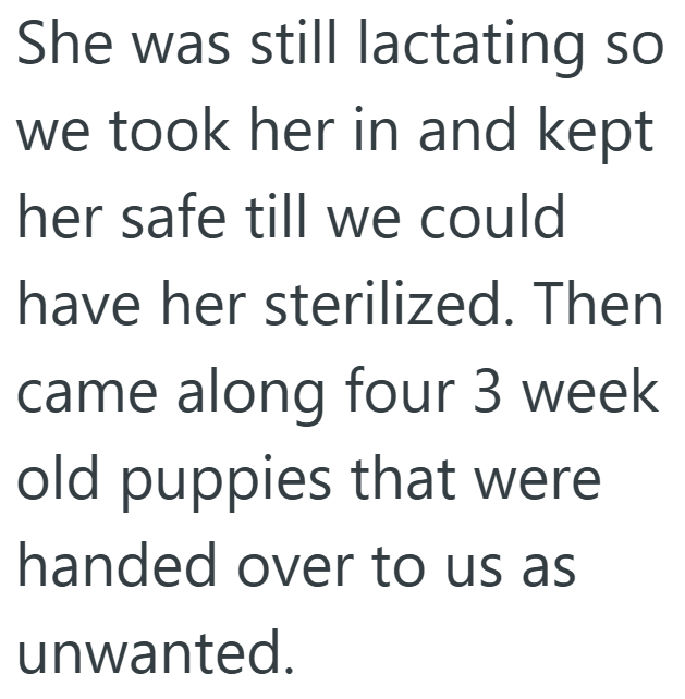 She was still lactating so we took her in and kept her safe till we could have her sterilized. Then came along four 3 week old puppies that were handed over to us as unwanted.