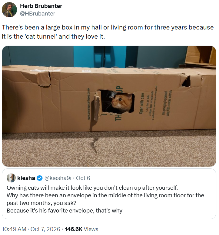 • 10:49 AM ⚫ Oct 7, 2026 146.6K Views Herb Brubanter @HBrubanter There's been a large box in my hall or living room for three years because it is the 'cat tunnel' and they love it. www.ornamental-trees.co.uk TH UP Open with care 1. Lay box on side 2. Open flaps on both ends 3. Unfold from corner whers Indicated This packaging is produced using 100% recycled materials kiesha @kiesha9i · Oct 6 Owning cats will make it look like you don't clean up after yourself. Why has there been an envelope in t