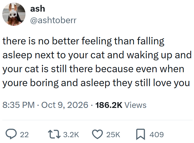 ash @ashtoberr there is no better feeling than falling asleep next to your cat and waking up and your cat is still there because even when youre boring and asleep they still love you 8:35 PM Oct 9, 2026 186.2K Views • > 22 173.2K 25K ☐ 409