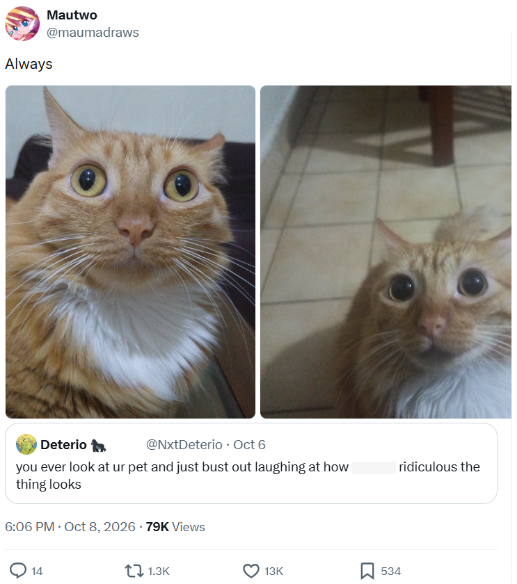 Mautwo @maumadraws Always Deterio @NxtDeterio⚫ Oct 6 you ever look at ur pet and just bust out laughing at how thing looks 6:06 PM - Oct 8, 2026 79K Views ridiculous the 14 1.3K 13K 534