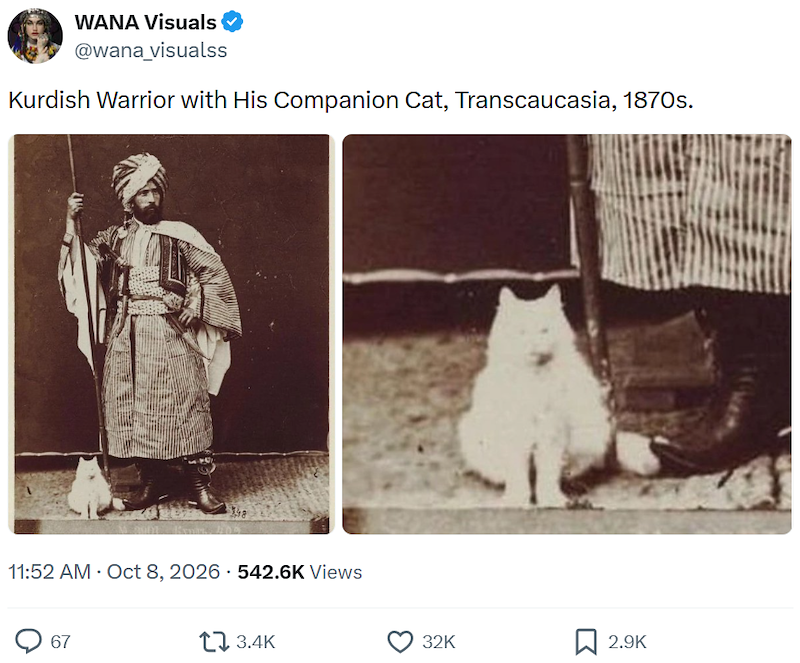 WANA Visuals @wana_visualss Kurdish Warrior with His Companion Cat, Transcaucasia, 1870s. 148 11:52 AM - Oct 8, 2026 542.6K Views 67 3.4K 32K ☐ 2.9K
