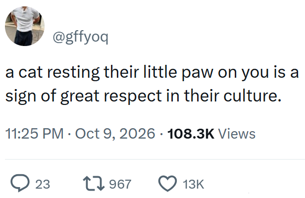 @gffyoq a cat resting their little paw on you is a sign of great respect in their culture. 11:25 PM Oct 9, 2026 108.3K Views 23 1967 13K