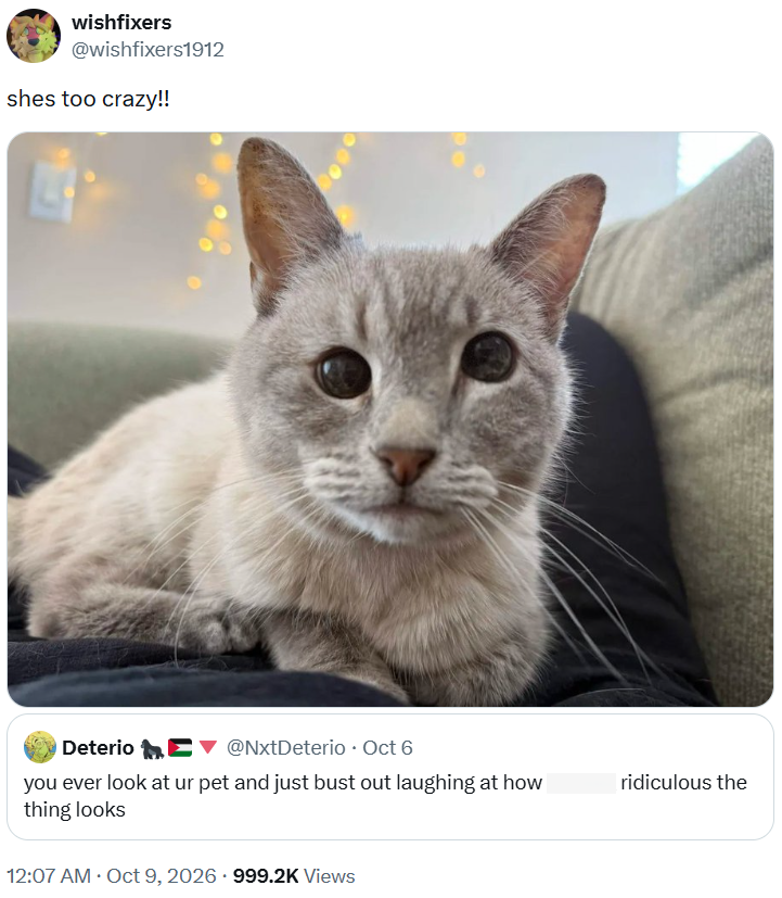 wishfixers @wishfixers1912 shes too crazy!! Deterio ▼ @NxtDeterio Oct 6 you ever look at ur pet and just bust out laughing at how thing looks 12:07 AM • Oct 9, 2026 999.2K Views ridiculous the