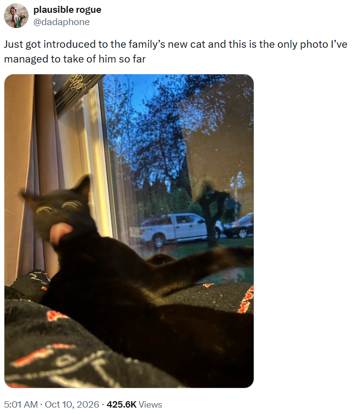 plausible rogue @dadaphone Just got introduced to the family's new cat and this is the only photo I've managed to take of him so far • 5:01 AM • Oct 10, 2026 425.6K Views
