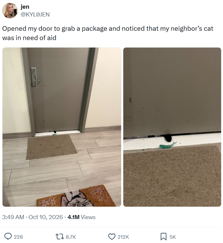 jen @KYLØJEN Opened my door to grab a package and noticed that my neighbor's cat was in need of aid 3:49 AM. Oct 10, 2026 4.1M Views 228 18.7K 212K ☐ 5K