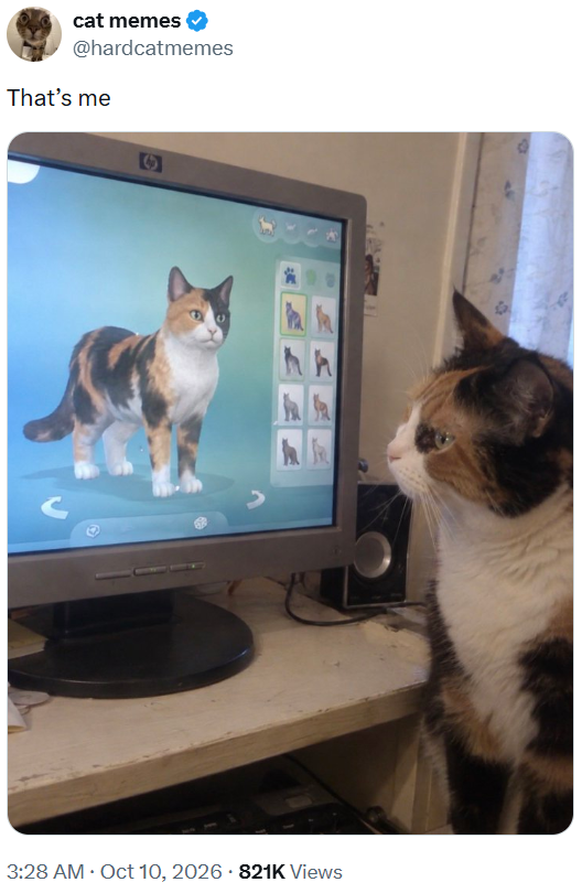 cat memes @hardcatmemes That's me 3:28 AM Oct 10, 2026 821K Views .
