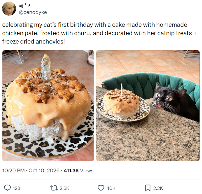 @cenodyke celebrating my cat's first birthday with a cake made with homemade chicken pate, frosted with churu, and decorated with her catnip treats + freeze dried anchovies! 10:20 PM - Oct 10, 2026 411.3K Views 128 17 2.6K 40K ☐ 2.2K