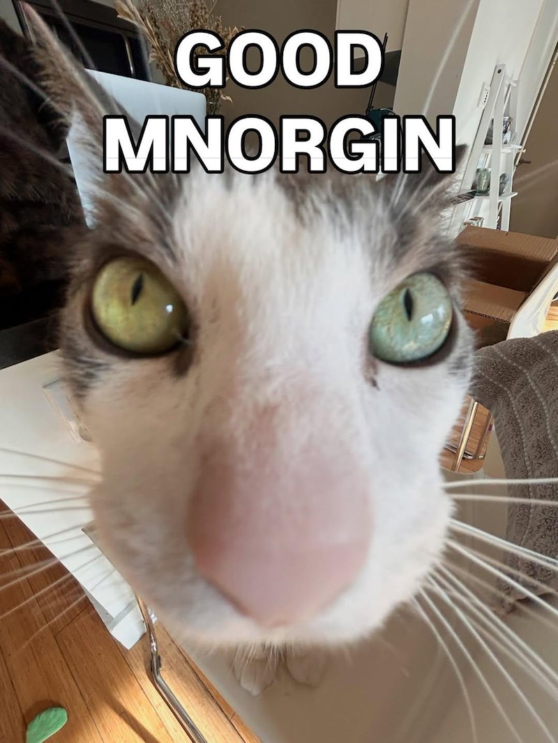 GOOD MNORGIN
