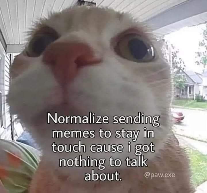 Normalize sending memes to stay in touch cause i got nothing to talk about. @paw.exe
