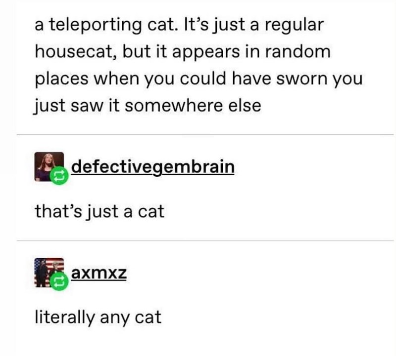 a teleporting cat. It's just a regular housecat, but it appears in random places when you could have sworn you just saw it somewhere else defectivegembrain that's just a cat axmxz literally any cat
