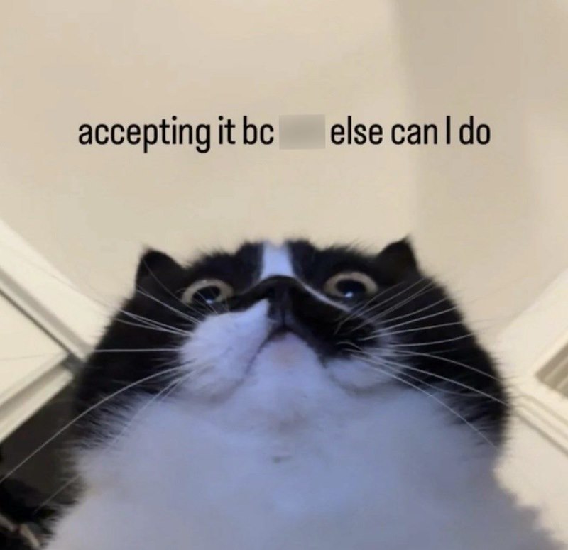 accepting it bc else can I do G