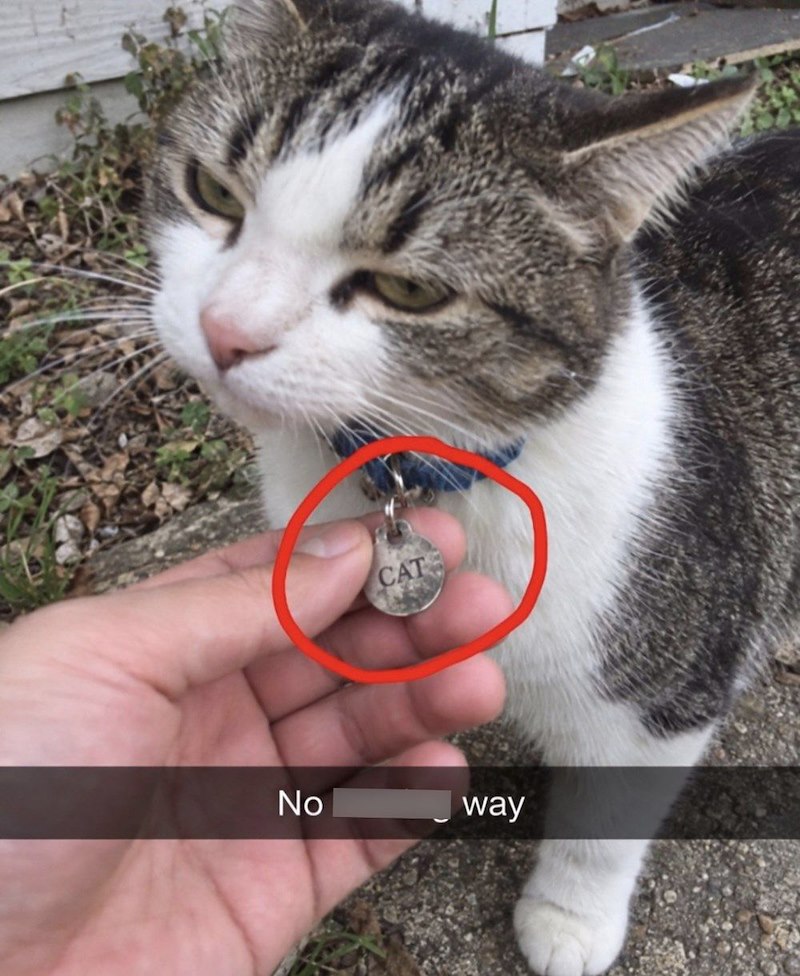 CAT No way