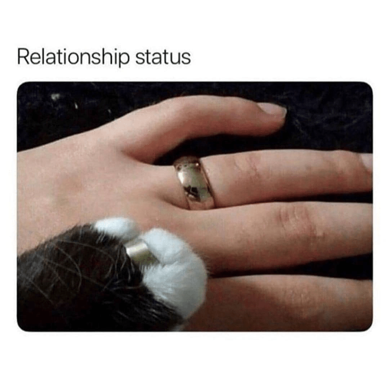 Relationship status