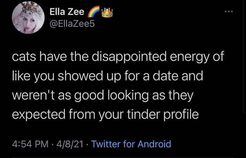 Ella Zee @EllaZee5 cats have the disappointed energy of like you showed up for a date and weren't as good looking as they expected from your tinder profile 4:54 PM - 4/8/21 Twitter for Android
