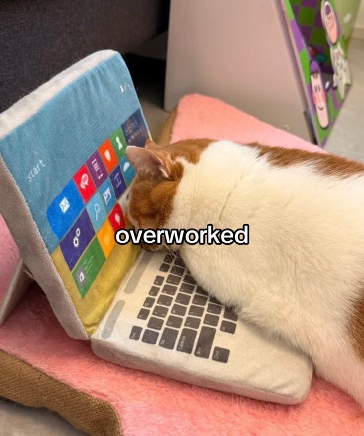 start 00 HOME overworked B