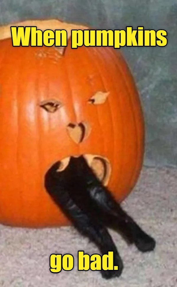 When pumpkins go bad.