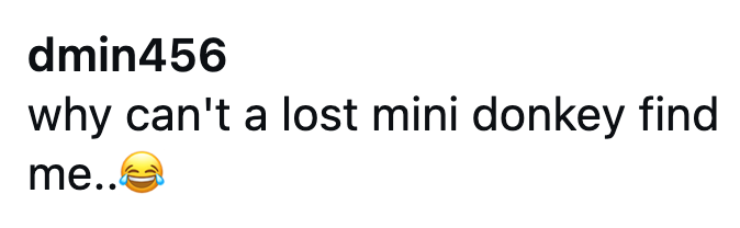 dmin456 why can't a lost mini donkey find me..