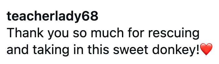 teacherlady68 Thank you so much for rescuing and taking in this sweet donkey!
