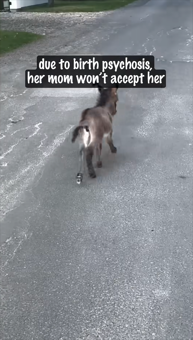due to birth psychosis, her mom won't accept her