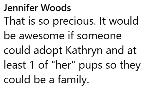 Jennifer Woods That is so precious. It would be awesome if someone could adopt Kathryn and at least 1 of "her" pups so they could be a family.