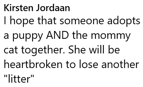 Kirsten Jordaan I hope that someone adopts a puppy AND the mommy cat together. She will be heartbroken to lose another "litter"