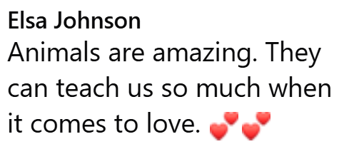 Elsa Johnson Animals are amazing. They can teach us so much when it comes to love.