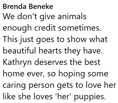 Brenda Beneke We don't give animals enough credit sometimes. This just goes to show what beautiful hearts they have. Kathryn deserves the best home ever, so hoping some caring person gets to love her like she loves 'her' puppies.