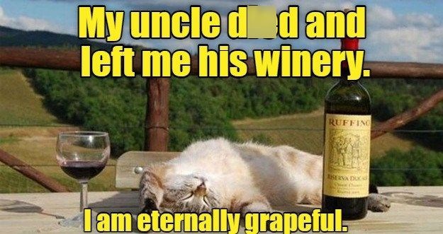 My uncle d d and left me his winery. RUFFING BERSA DUC I am eternally grapeful.