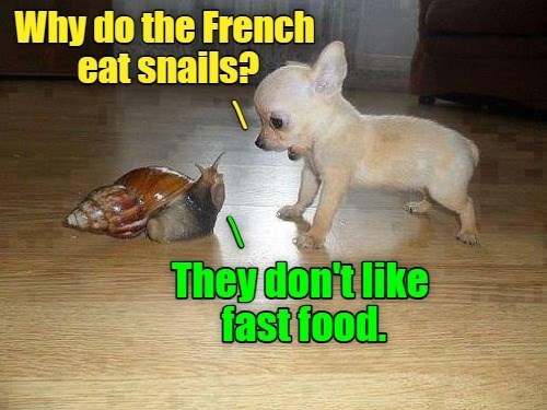 Why do the French eat snails? They don't like fast food.