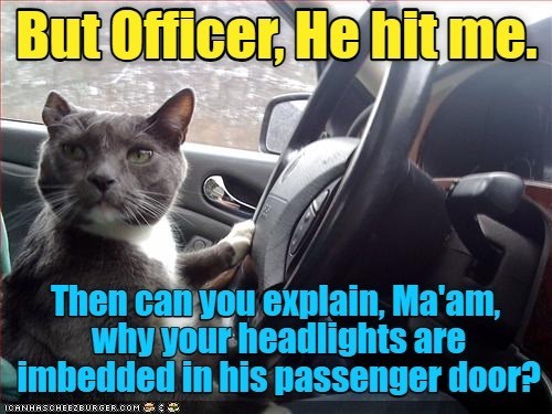 But Officer, He hit me. Then can you explain, Ma'am, why your headlights are imbedded in his passenger door? ICANHASCHEEZBURGER.COM: