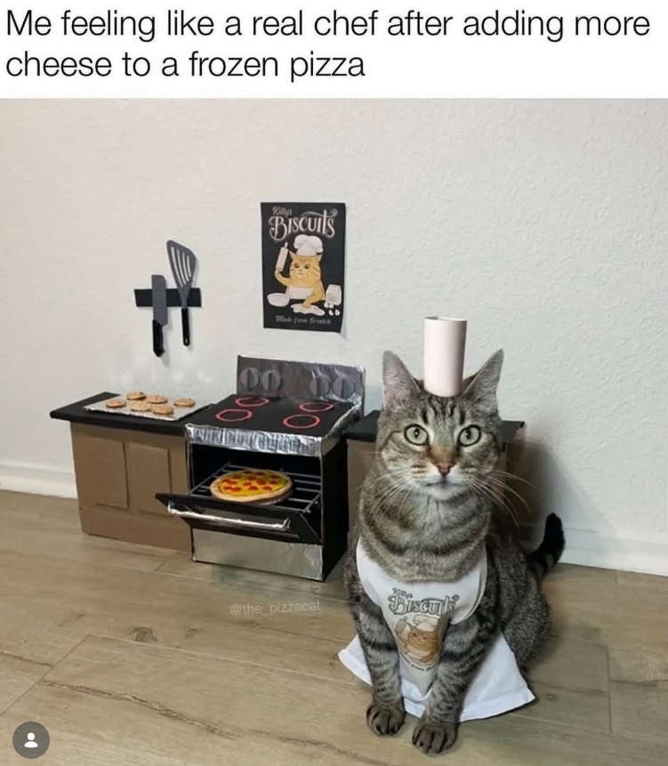 Me feeling like a real chef after adding more cheese to a frozen pizza Killys BISCUITS Madera 00 @the_pizzacat Kimy Biscuit