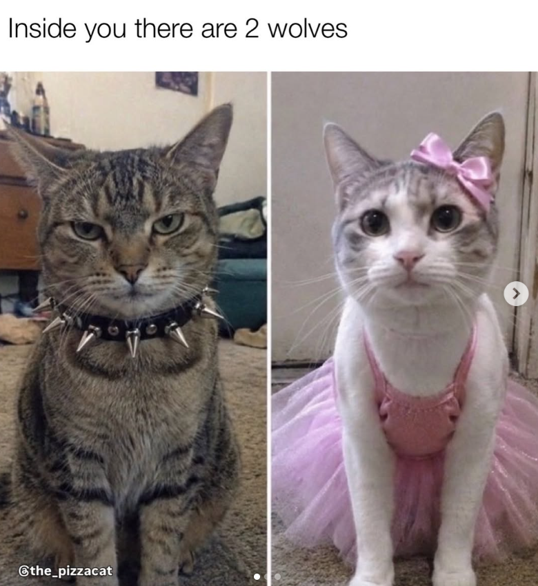 Inside you there are 2 wolves @the_pizzacat >